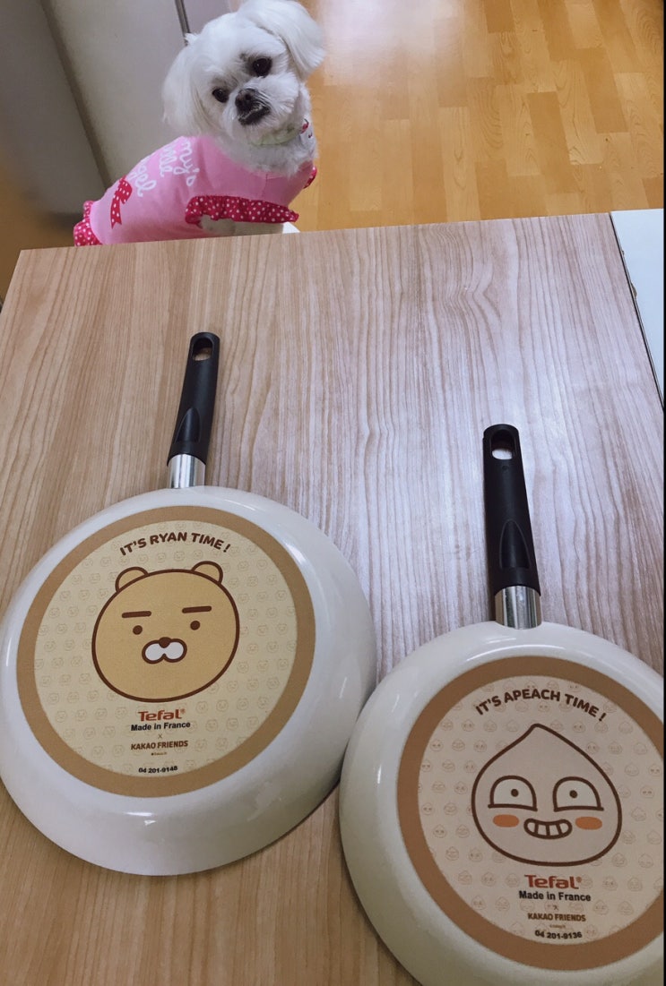 테팔 Tefal 카카오 프렌즈 프라이팬 테팔 Tefal 카카오 프렌즈 프라이팬