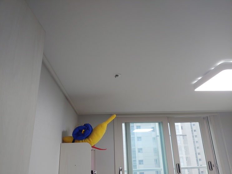홈키파로 집에 들어온 벌 잡아봤어요 홈키파로 집에 들어온 벌 잡아봤어요