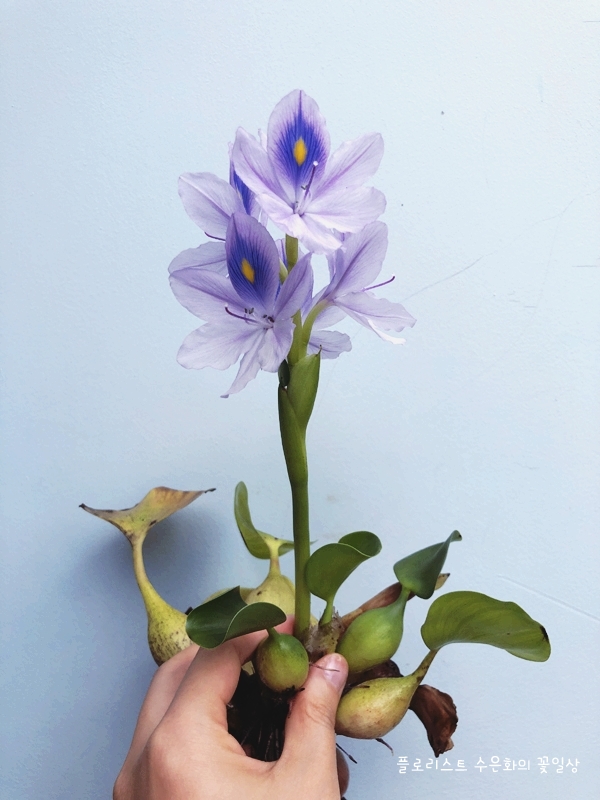  가을이 괜히 천고마비겠어?! 다 자연의 섭리지...