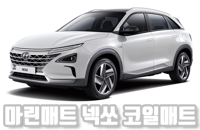  넥쏘 2019 코일매트 수소차 카매트 확장형 풀세트 엣지 오바로크