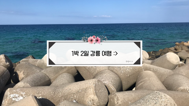  190831-190901 짧게 떠나기 좋은 국내 여행지! 강원도 강릉 1박 2일 여행 후기 : 포뷰펜션 / 강문해변 / 강릉카페거리 / 키크러스카페 / 경포해변