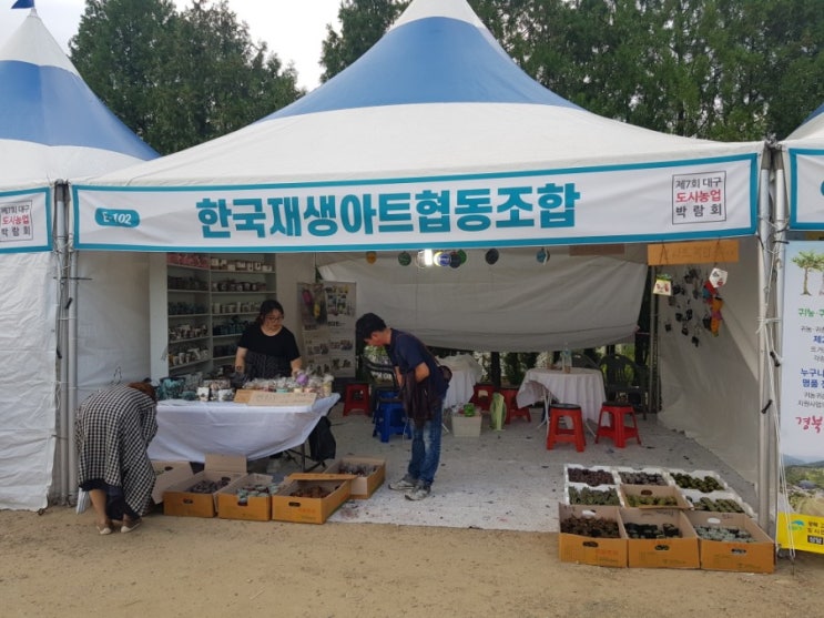  2019 대구도시농업박람회