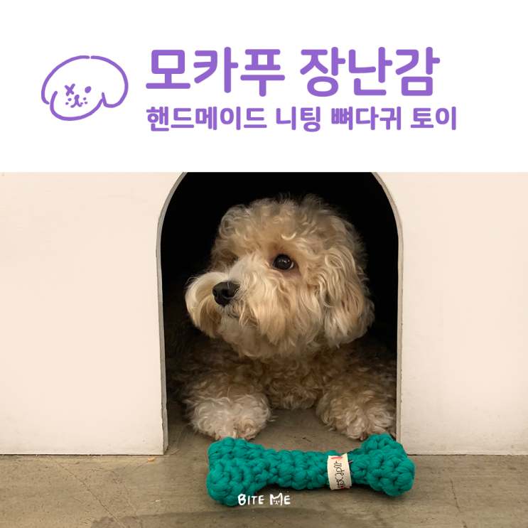  바잇미 쇼룸 : 핸드메이드 니팅 뼈다귀 장난감 (치석제거, 노즈워크, 터그놀이에 딱인 치실 장난감)