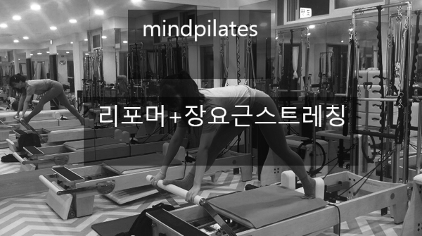  제주서귀포 마인드기구필라테스 리포머 +장요근스트레칭