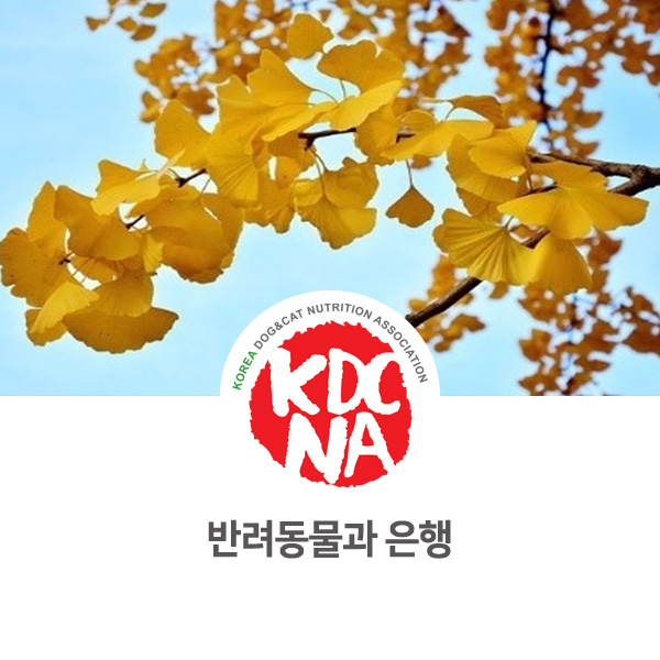  [강아지 고양이 영양 정보] 반려동물도 은행을 먹을 수 있나요?_114