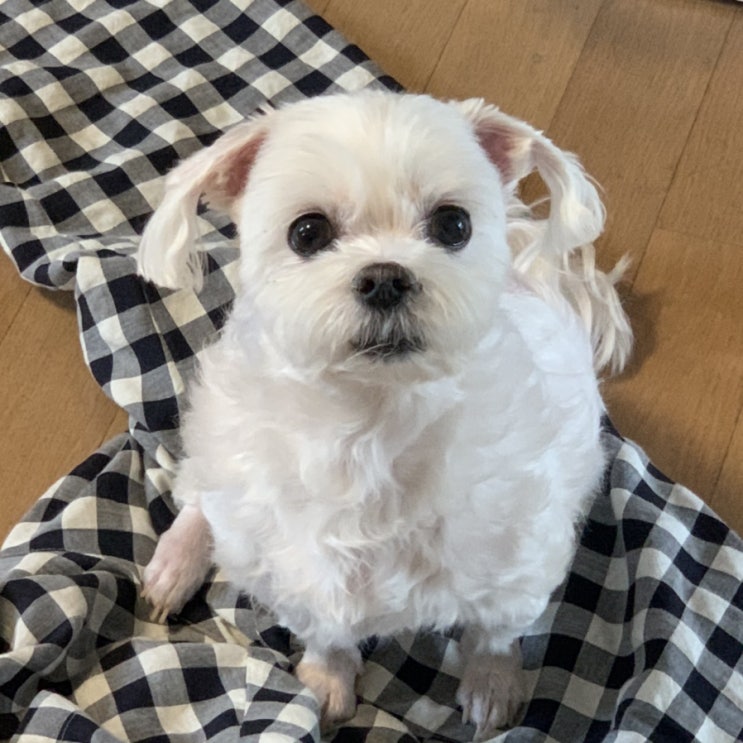  9 끝