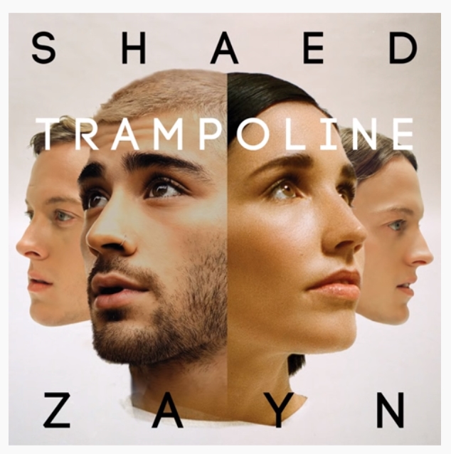 Trampoline - Shaed & ZAYN