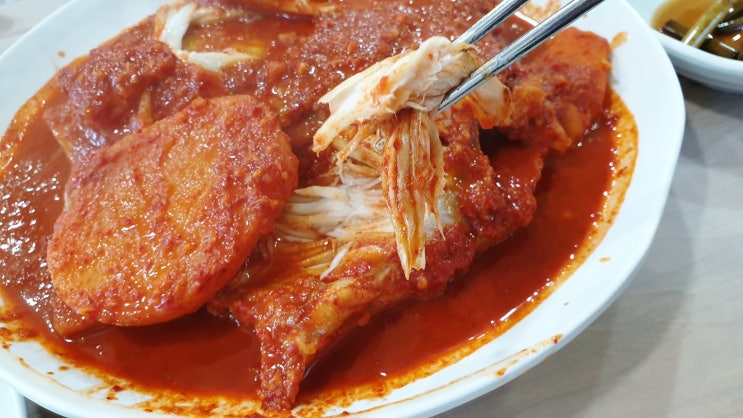 강릉 맛집 추천, 여행때마다 들리는 가오리찜 맛집 '이모네 생선찜'