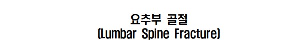  광주 요추 압박골절 후유장해 병원 장해진단서 거부? (AMA)(S32)요추의골절
