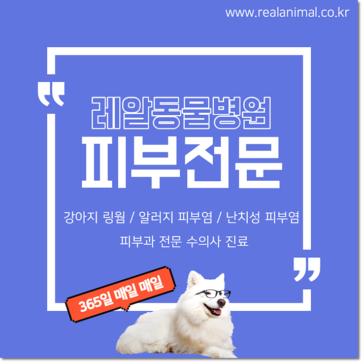 강아지 링웜 붉은반점이 있다면 의심하세요!