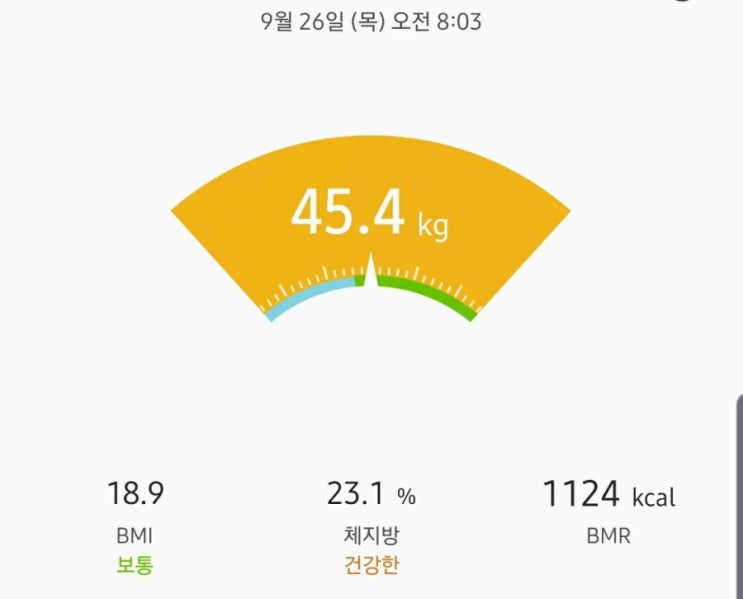  [다이어트 일지]11주차 9/26-10/2 (ft.캠핑후 최고몸무게 갱신ㅠ)