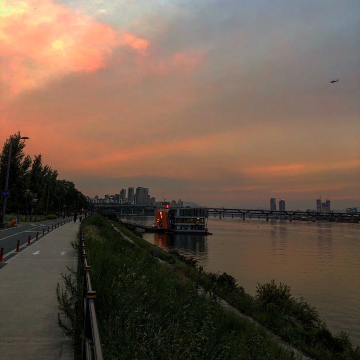  [ No.29 ] _ 190901 ~ 190930