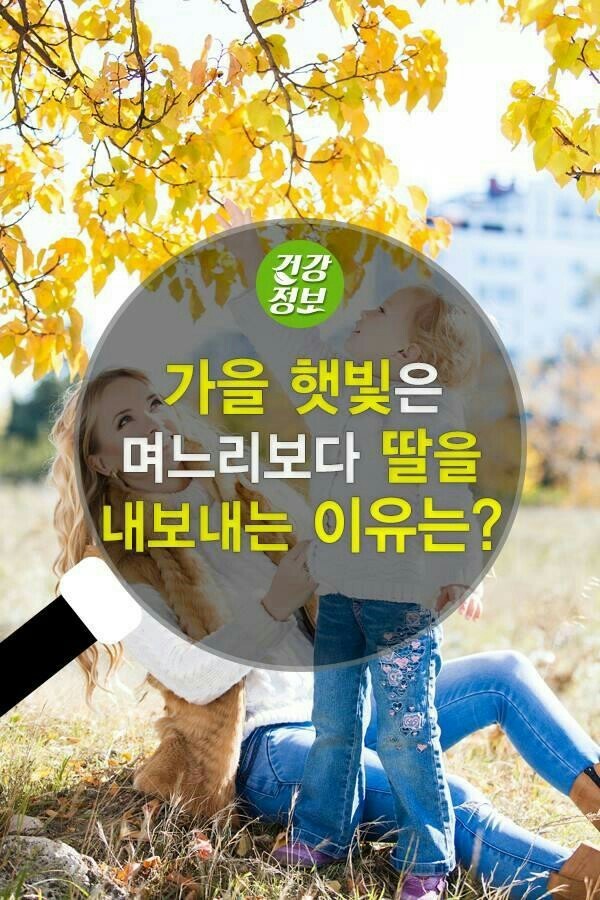  가을 햇빛이 좋은 이유