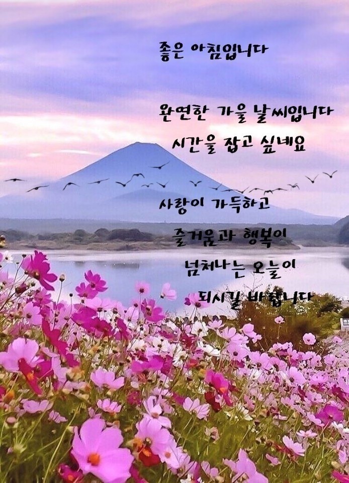  제18호 태풍 미탁 북상할 듯...제주 10월 태풍 ‘초긴장’