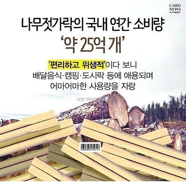  흔히 사용하는 나무젓가락의 비밀