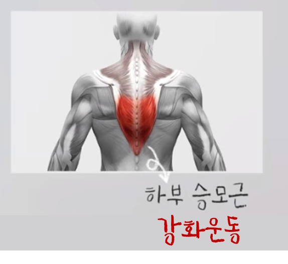 승모근 없애기 운동, 스트레치, 호흡 [feat : 견갑거근, 횡격막호흡] 3