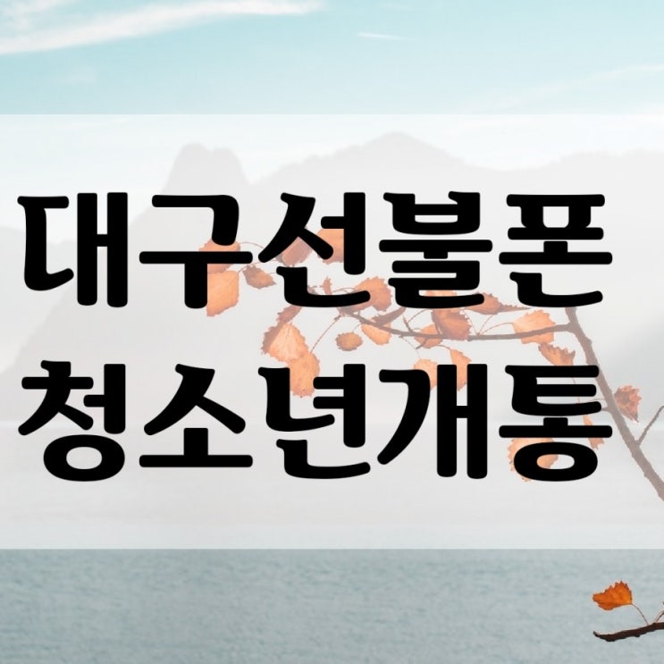  대구선불폰 청소년개통 접수