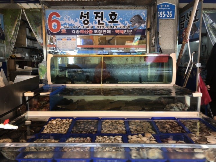 성진호 재방문 - 몽산포 갯벌체험 후 태안 수산시장
