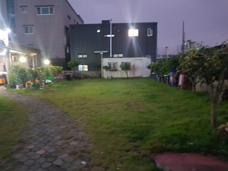  울산 진장동 무진장 돼지껍질 갈비.