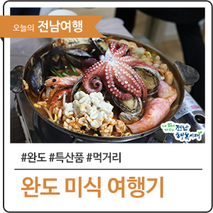  전라남도 완도군 1박 2일 미식여행기