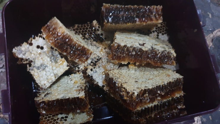  지리산 진짜 꿀 설통 목청 석청