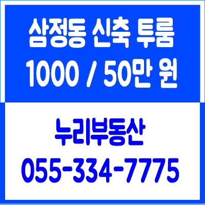  김해 삼정동 투룸 평범함을 거부하는 분들에게 추천하는 신축 월세 주택