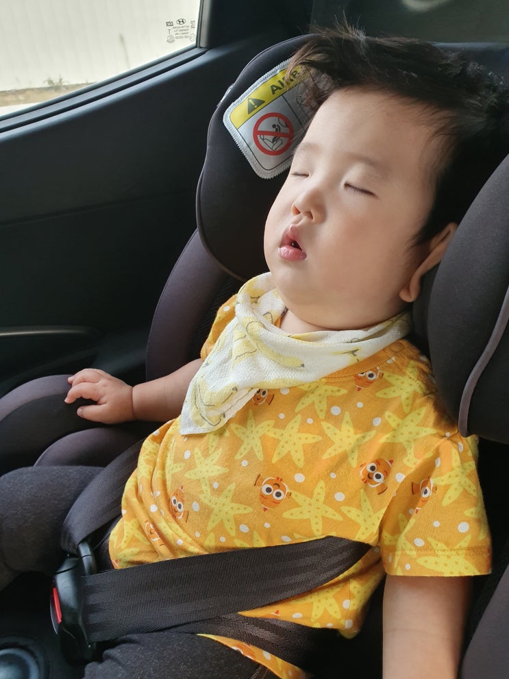  생후358일 평택 소풍정원. 날씨 무엇