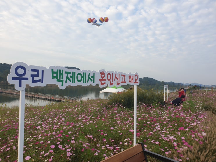  백제문화제