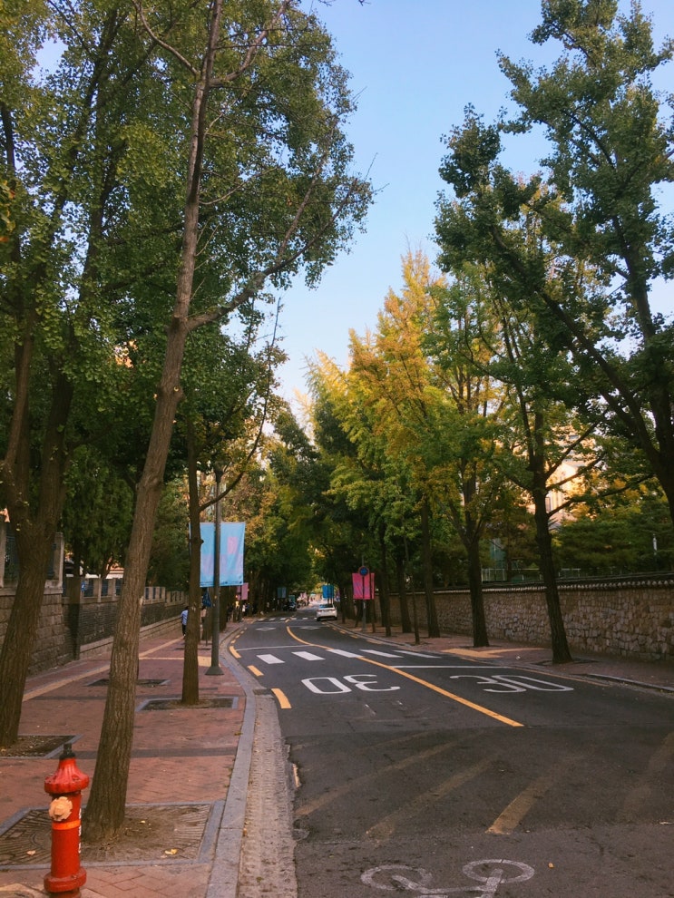  집순이에겐 바빴던 9월 일상