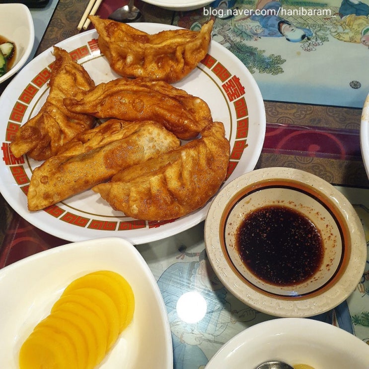  부산역 맛집 장성향 (영화 올드보이 군만두) 만두최고다