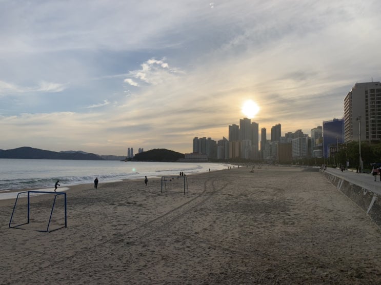  2019 부산국제영화제 개막식 연기 태풍 미탁