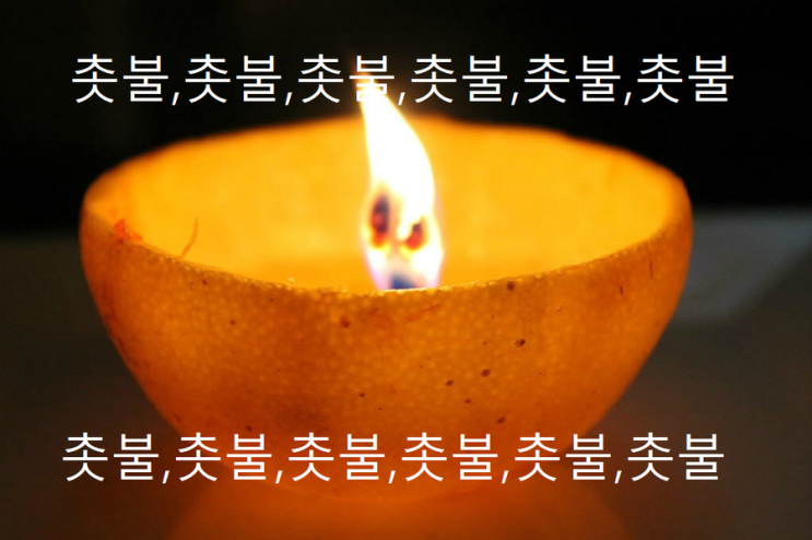  서초동 촛불집회