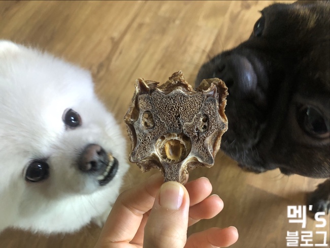 루비코니 반려견 수제간식 믿을수 있는 곳에서 건강하게!