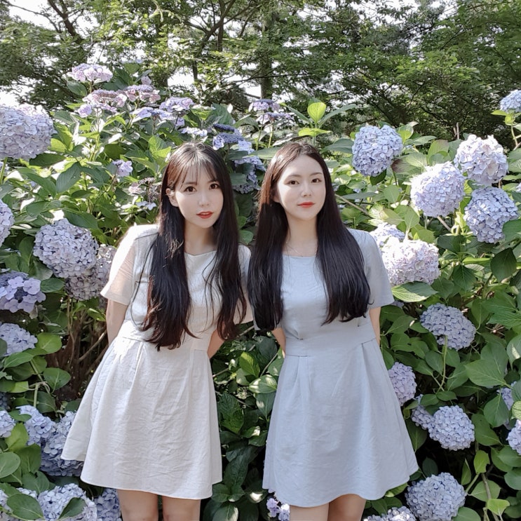  박 자매 부산여행 , 태종대 수국축제 셀프스냅