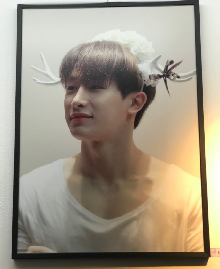  [원호] 션프도 간다! 몬스타엑스 원호 전시회 LIKE A WILD