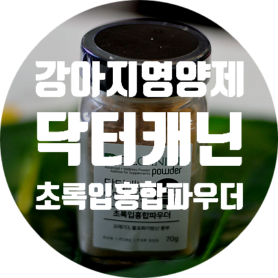  노령견 관절영양제  강아지초록입홍합파우더   feat 닥터캐닌
