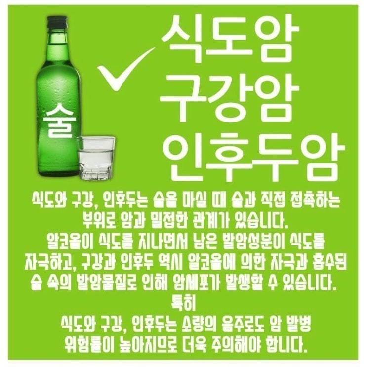  술이 우리몸에 미치는 영향