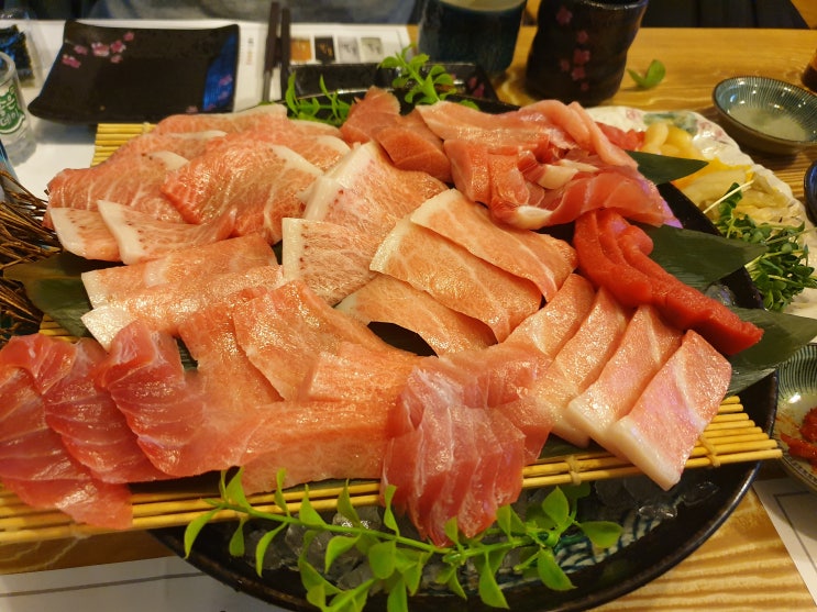  소주가 무한으로 들어가는 숙성참치회 전문점 "삿뽀로 참치" 방문후기