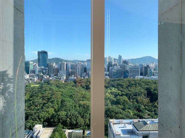 삼성동라이푸