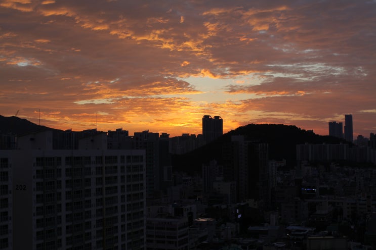  붉은 기운을 받아봅시다.