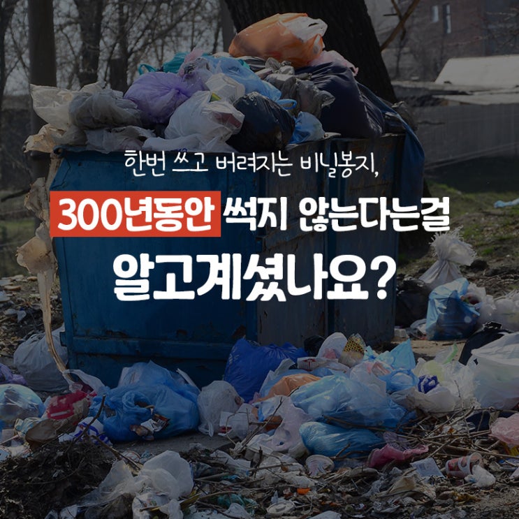  마트 종이박스가 사라집니다. 이제 바퀴달린 장바구니가 필수입니다.