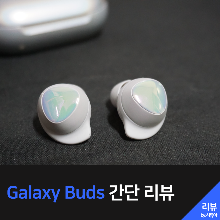  은갈치? 자개장? 갤럭시 버즈(Galaxy Buds) 실버 색상 간단 후기