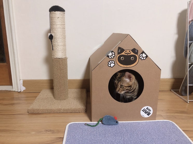 고양이숨숨집 :: 코쿠모노 고양이 숨숨집 DIY 페이퍼 하우스