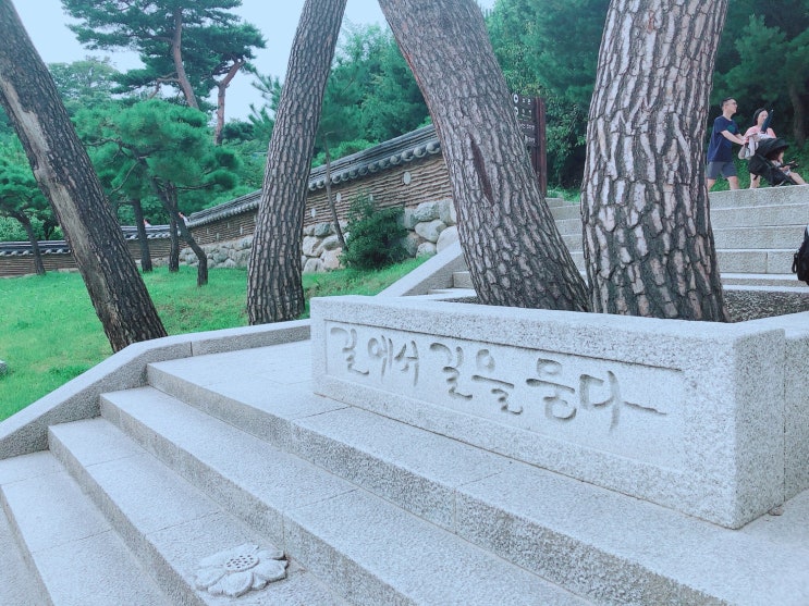  아기랑 강원도여행! 여름 2박3일 속초 평창 여행하기