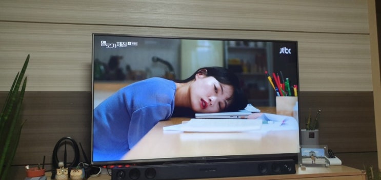 멜로가체질 멜로가체질