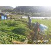18호 태풍 미탁, 한반도 접근 가능성 18호 태풍 미탁, 한반도 접근 가능성