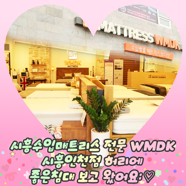  시흥수입매트리스 전문 WMDK시흥인천점 허리에좋은침대 보고 왔어요: