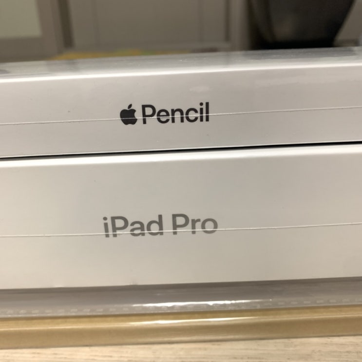 [지요니가 사고 박소여니가 쓰는 후기 2탄] Apple 2018 iPad Pro 아이패드 프로 11 3세대  // Apple Pencil 애플펜슬 2세대
