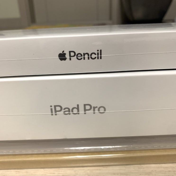  [지요니가 사고 박소여니가 쓰는 후기 2탄] Apple 2018 iPad Pro 아이패드 프로 11 3세대  // Apple Pencil 애플펜슬 2세대