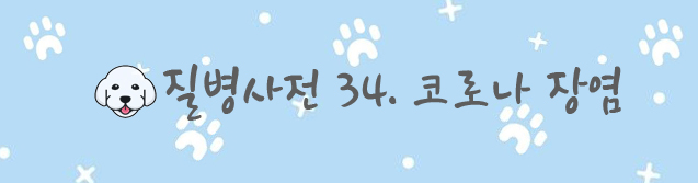  라온동물병원 ) 반려동물 질병사전 34. 코로나 장염